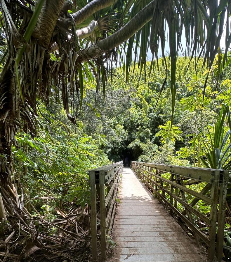 Explore Maui'S Diverse Campgrounds And Uncover The Island'S Beauty From Fresh Perspectives Every Day As You Journey With Aloha Glamp'S Great Jeep Equipped With A Rooftop Tent Paia Buitenkant foto